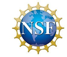 NSF徽标