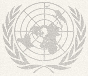 高中模拟联合国会议